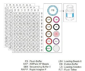Rapid Sequencing Kits, Oxford Nanopore Technologies .